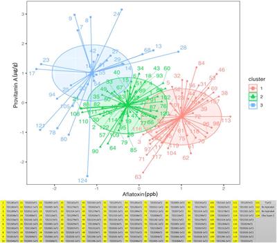 Performance of testers with contrasting provitamin A content to evaluate provitamin A maize for resistance to Aspergillus flavus infection and aflatoxin production